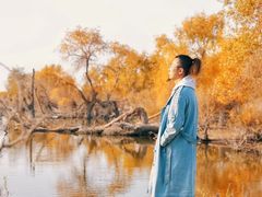 -金塔沙漠胡杨林景区