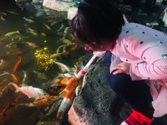 -泉城欧乐堡海洋极地世界