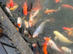 -珠海圆明新园