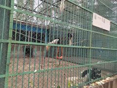 -秦皇岛野生动物园