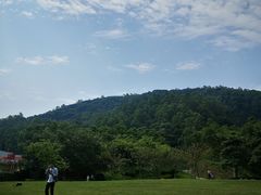 -火炉山森林公园