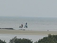 -北海金海湾红树林生态旅游区
