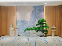 -MJ skin care国际皮肤管理中心