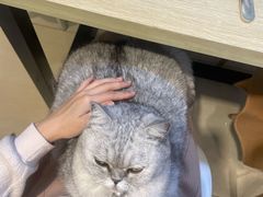 -Oasis绿洲银饰珍珠手作diy(壹方城店)