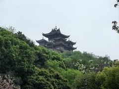 -柳浪闻莺公园