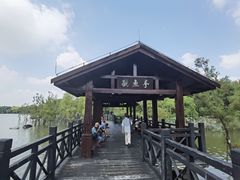 -海珠湖公园