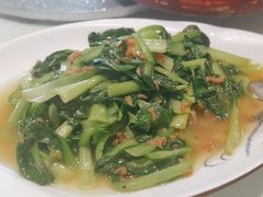 -海派美食·家宴海鲜青岛菜·石锅鲽鱼头(东方城店)