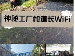 -抱龙峪