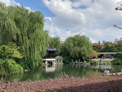 -月湖公园