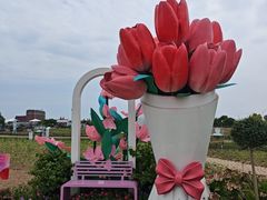 -荷兰花海