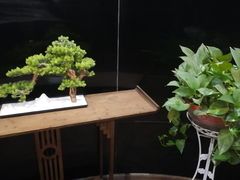-富贵沐足·足浴按摩SPA(司门口解放路店)