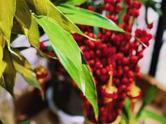-陈学正酸梅汤(大学习巷店)