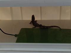 -大明宫国家遗址公园·御道广场