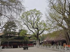 -潭柘寺景区