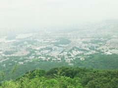 -紫金山山顶公园