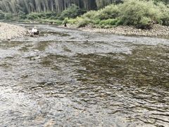 -石台牯牛降景区