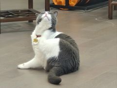 -云城照相馆(龙湖雨山天街店)