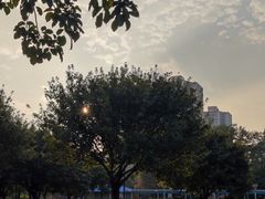 -文华公园(禅城区)