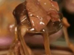 优质胡辣汤-逍遥镇刘相五胡辣汤豆沫馆(康复中街店)