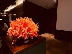 -丽晶轩中餐厅(重庆丽晶酒店)
