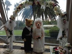 -济州岛泰迪熊博物馆