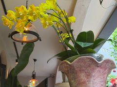 -Osteria Garden 生蚝花园餐厅(原进贤路店)