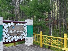 -莫尔道嘎国家森林公园