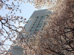 -山东师范大学(千佛山校区)