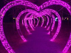 -北京鹿世界主题园