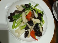 -春茗熙