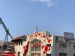 -飞天翼龙
