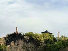 -新疆红山干果市场