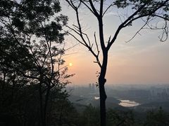 -岳麓山风景名胜区