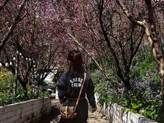 -正宗火盆自助烧烤·烤全羊·柴火鸡(龙泉山店)