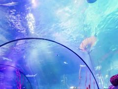 -沈阳海洋探索中心