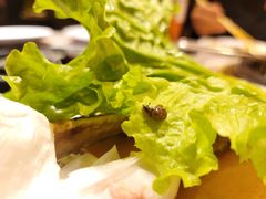 -火炉火自助餐(喜隆多店)