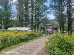 -玉渡山自然风景区