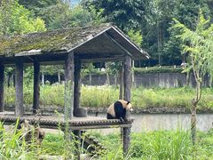 -碧峰峡风景区