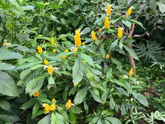 -北京植物园-展览温室