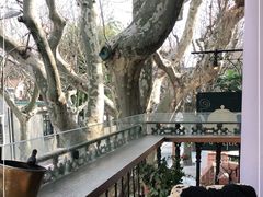 -古董花园(思南路42弄小区店)