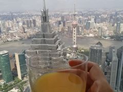 -上海柏悦酒店