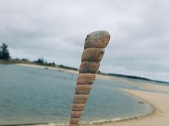 -汕尾风车岛