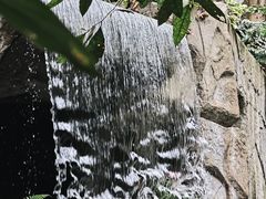 -青青世界