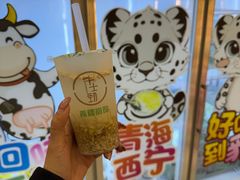 -德禄酸奶(莫家街店)