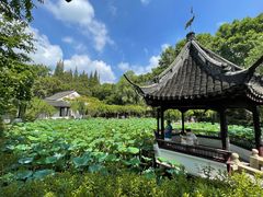 -上海醉白池公园