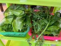 -15年老字号鑫鑫猪肚鸡·椰子鸡海南火锅(兴隆华侨农场店)