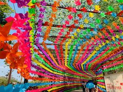 -田园寨农园观光园