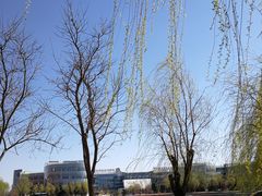 -中关村生命科学园