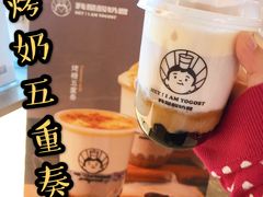 烤奶五重奏-我是酸奶君(壹方城店)