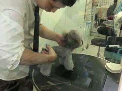 -BABYDOG宝贝狗宠物乐园(欧洲城店)